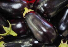 Удивительные праздники 4 февраля в России и мире Открытие Российской агропромышленной выставки Золотая осень 2024 в Тимирязев центре