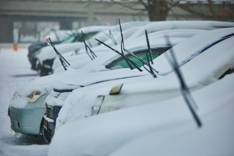 Тематическая фотография Дмитрий Осипчук, ИА PrimaMedia.ru