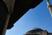 5fe19528-b71c-452b-b79e-28c19bdf85ef-67fd7e41