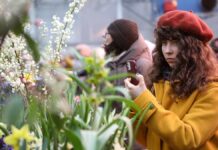 Великолепная орхидея украсила Аптекарский огород Москвы Выставка Репетиция весны в Аптекарском огороде