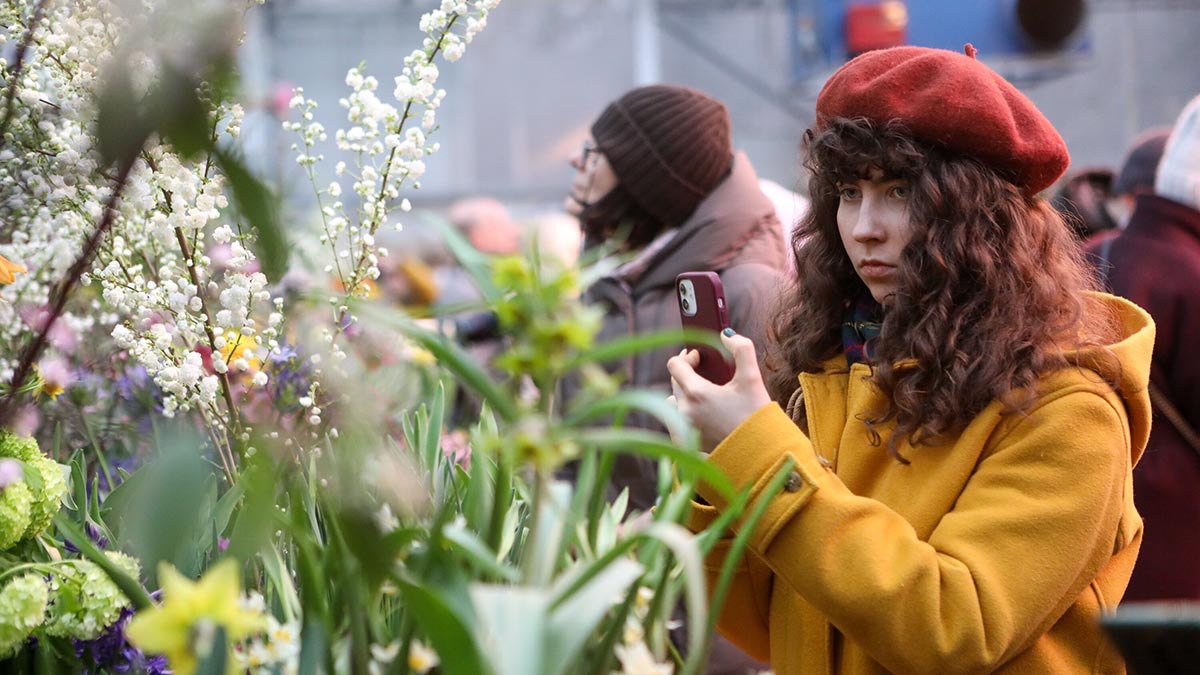 Орхидея «Яйцо в гнезде» расцвела в «Аптекарском огороде» в Москве