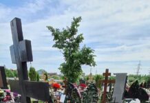 896e0ece-6f5a-4e83-a1c7-414a7239ed3c-68017133