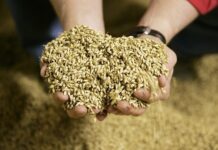 Торговое сотрудничество России и Южной Кореи достигло впечатляющих результатов 94dd2bf9-c92d-45ca-b59a-bfb5d75c6ce8-67f65472