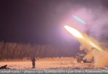 Месть тигров Последний приказ погибшего командира выполнен a9ea29f7-c5f3-468c-b26d-d83895d02acc-67ff356e