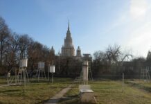 Удивительно теплый январь 2025 года в Москве побил температурные рекорды c8a8d72f-d477-417c-8b38-eabe4a440e15-67f3c16e