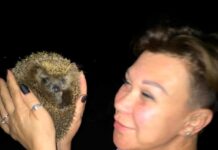 Светлая память любящей жене и матери svetlaya pamyat lyubyashhej zhene i materi-obzone-su-174047908400-0