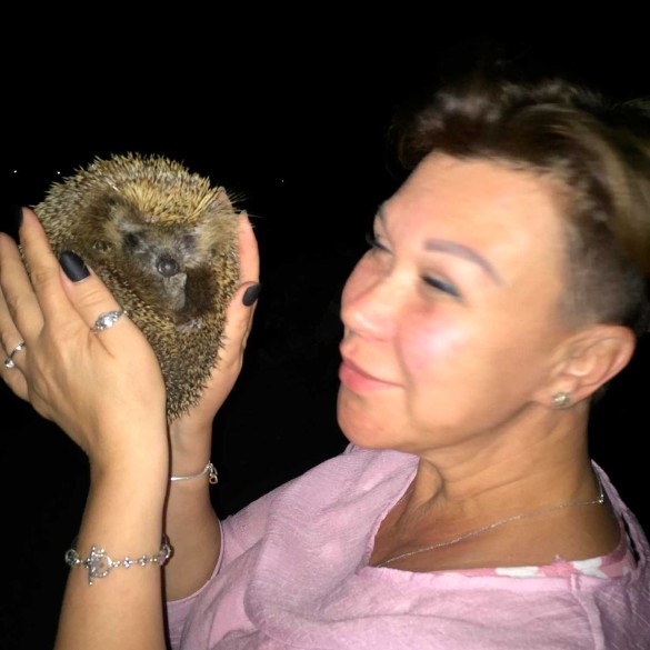 Фото: facebook.com/norkinntv