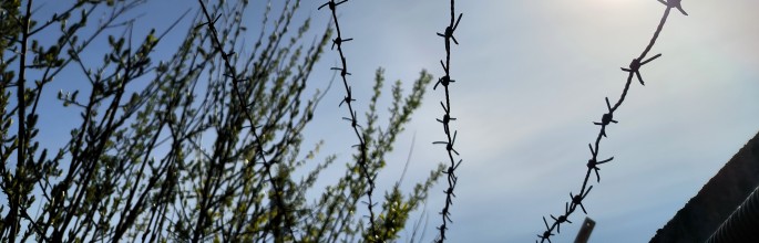 Звезда шоу "Уральские пельмени" заявила о желании работать в тюрьме