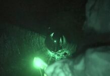 Андрей Гурулев раскрыл секреты успешной операции Поток под Суджей andrej gurulev raskryl sekrety uspeshnoj operaczii potok pod sudzhej-obzone-su-174237485700-0