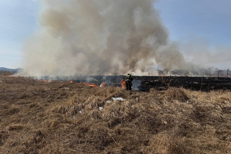 В Приморье пожарные спасли село Зарубино от природного пожара МинГОЧС Приморского края