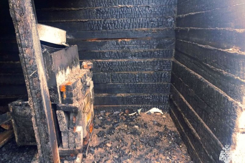 Инфракрасная лампа стала причиной гибели 37 цыплят в Приморье МЧС Приморского края