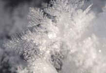 osennie zamorozki pridut v moskvu i regiony rossii v blizhajshie dni-obzone-su-174182528800-0