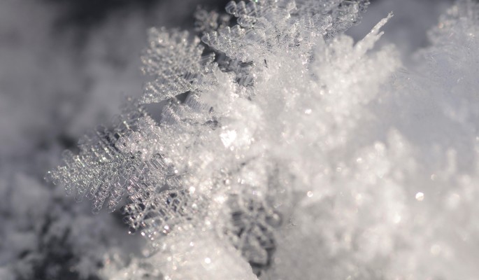 Заморозки ожидаются в Москве и других городах России в грядущие выходные