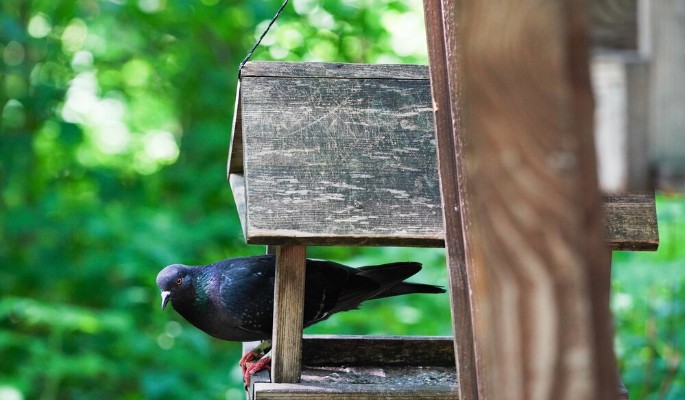 Новый сезон экскурсий для любителей необычной архитектуры стартует в Москве
