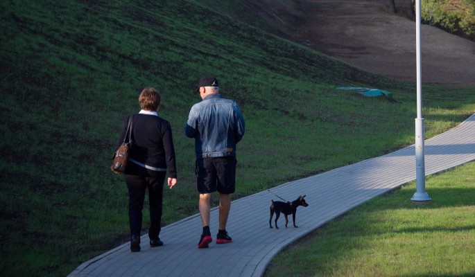 В парке "Яуза" проложат велосипедный, беговой, экологический маршруты