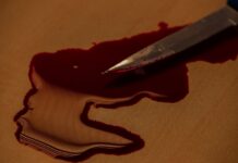 Приморье укрепляет правопорядок — Ольга и Лучегорск в фокусе безопасности primore ukreplyaet pravoporyadok olga i luchegorsk v fokuse bezopasnosti-obzone-su-174198031000-0