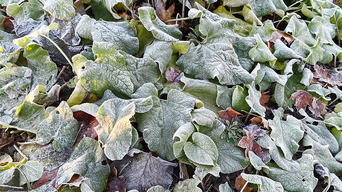 Погода в Москве и области на выходных 15 16 марта 2025