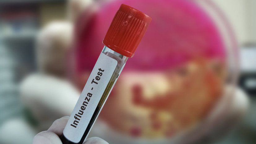 Роспотребнадзор: обсуждаемый в СМИ вирус может быть микоплазменной инфекцией