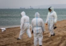 Рыболовство в Черном море демонстрирует рост улова хамсы после событий в Крыму rybolovstvo v chernom more demonstriruet rost ulova hamsy posle sobytij v krymu-obzone-su-174228268100-0