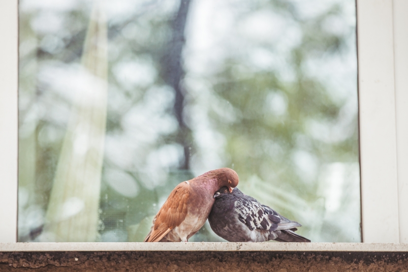 Фото: primamedia.ru