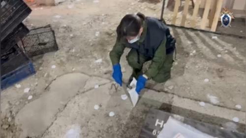 При отравлении на Ставрополье семьи химикатами умерла восьмилетняя девочка, ее брат - в реанимации