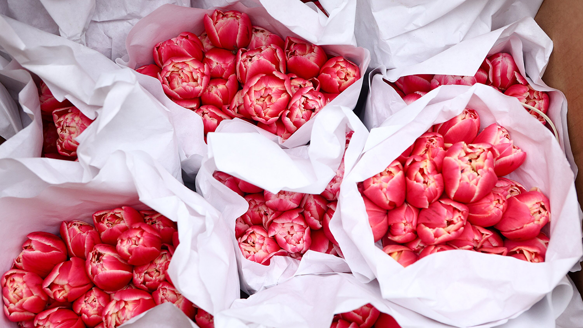 Сколько стоят тюльпаны, мимозы, нарциссы на 8 Марта