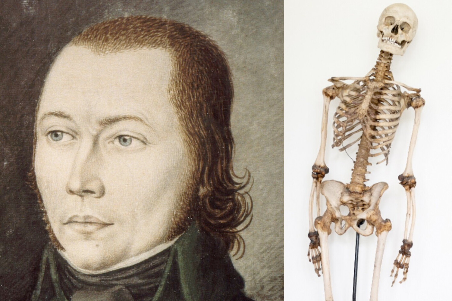 Ученые раскрыли загадку скелета Шиндерханнеса в Гейдельберге после двух столетий поисков-0