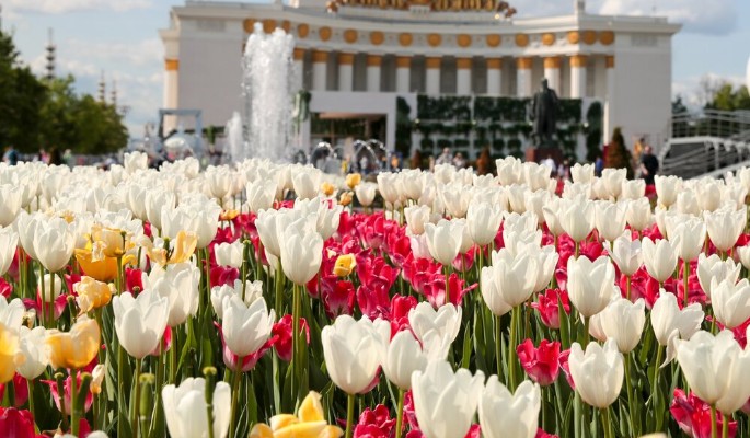 Одной из площадок Международного фестиваля "Интермузей" станет ВДНХ