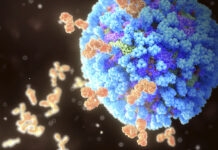 Вера Серёжина из ЛабКвест о профилактике гриппа и рисках пневмонии vera seryozhina iz labkvest o profilaktike grippa i riskah pnevmonii-obzone-su-174205225500-0