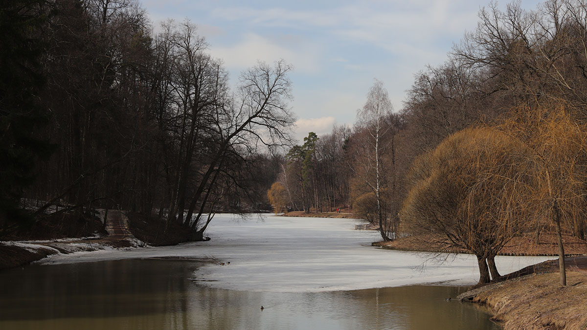 Похолодание и потепление в Москве в марте 2025