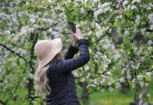 19 апреля. Евтихий Тихий и Ерема Пролетный дарят весенние приметы 19 aprelya evtihij tihij i erema proletnyj daryat vesennie primety-obzone-su-174501552000-0