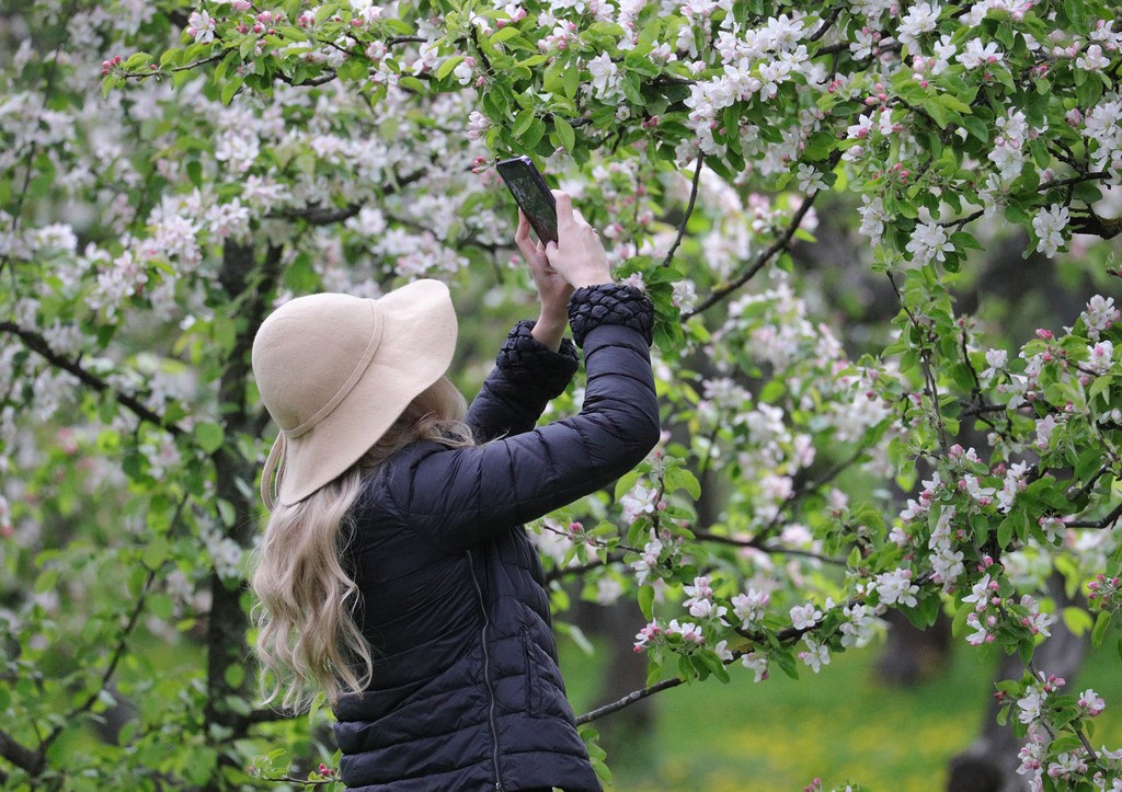 Приметы на 19 апреля