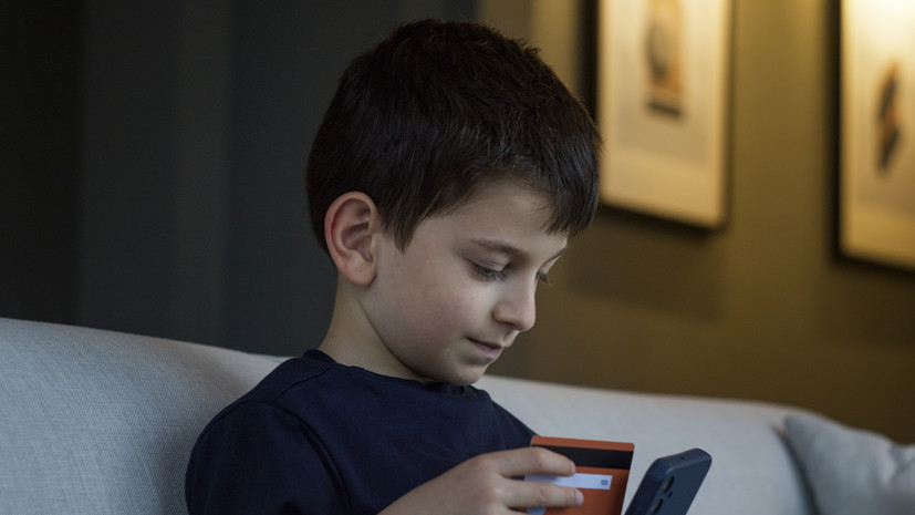 В Госдуме объяснили, как защитить ребёнка от уловок мошенников в онлайн-играх