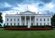 Дэвид Сакс выступает против Зеленского, США меняют курс в Украине и России devid saks vystupaet protiv zelenskogo ssha menyayut kurs v ukraine i rossii-obzone-su-174578922400-0