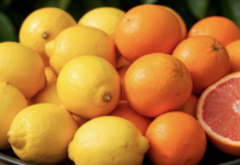 Екатерина Кашух и Гемотест раскрыли секреты витамина C в продуктах ekaterina kashuh i gemotest raskryli sekrety vitamina v produktah-obzone-su-174373249000-0