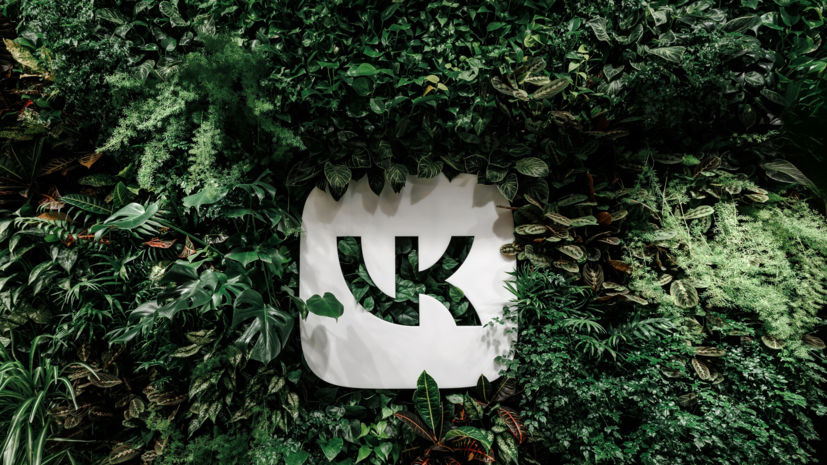 VK запускает медиапроект «Наука Mail»