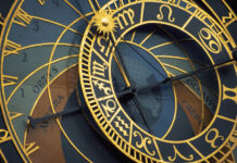 lvy i ryby sozdayut garmoniyu v komande znakov zodiaka-obzone-su-174555078600-0