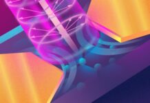 МФТИ и международная команда разработали датчик поляризации терагерца mfti i mezhdunarodnaya komanda razrabotali datchik polyarizaczii teragercza-obzone-su-174601901500-0