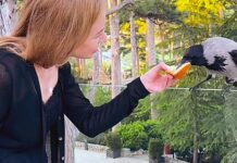 Наталья Поклонская делится впечатлениями от встречи с Хугин и Мунин natalya poklonskaya delitsya vpechatleniyami ot vstrechi s hugin i munin-obzone-su-174522877000-0