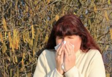 Прогноз пыльцы SILAM в Москве обнадеживает снижением активности ольхи и березы prognoz pylczy v moskve obnadezhivaet snizheniem aktivnosti olhi i berezy-obzone-su-174398507200-0