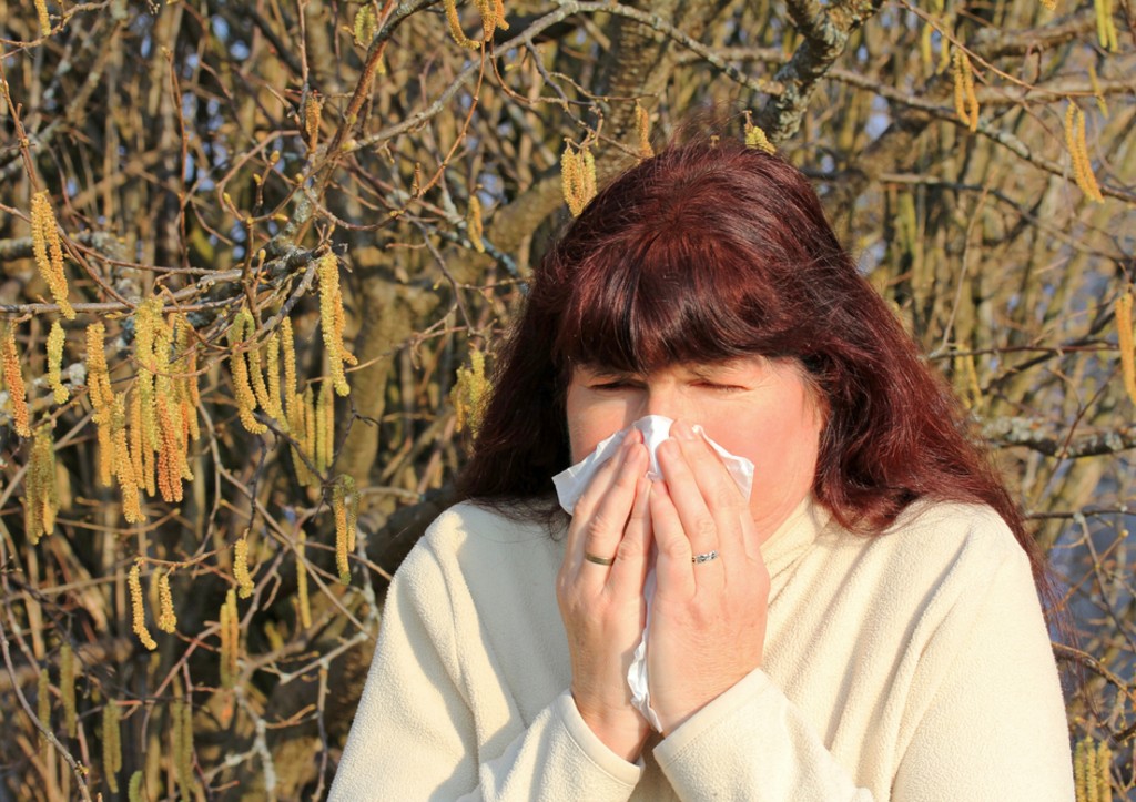 Пыльца сегодня в Москве: прогноз пыления на 7 апреля