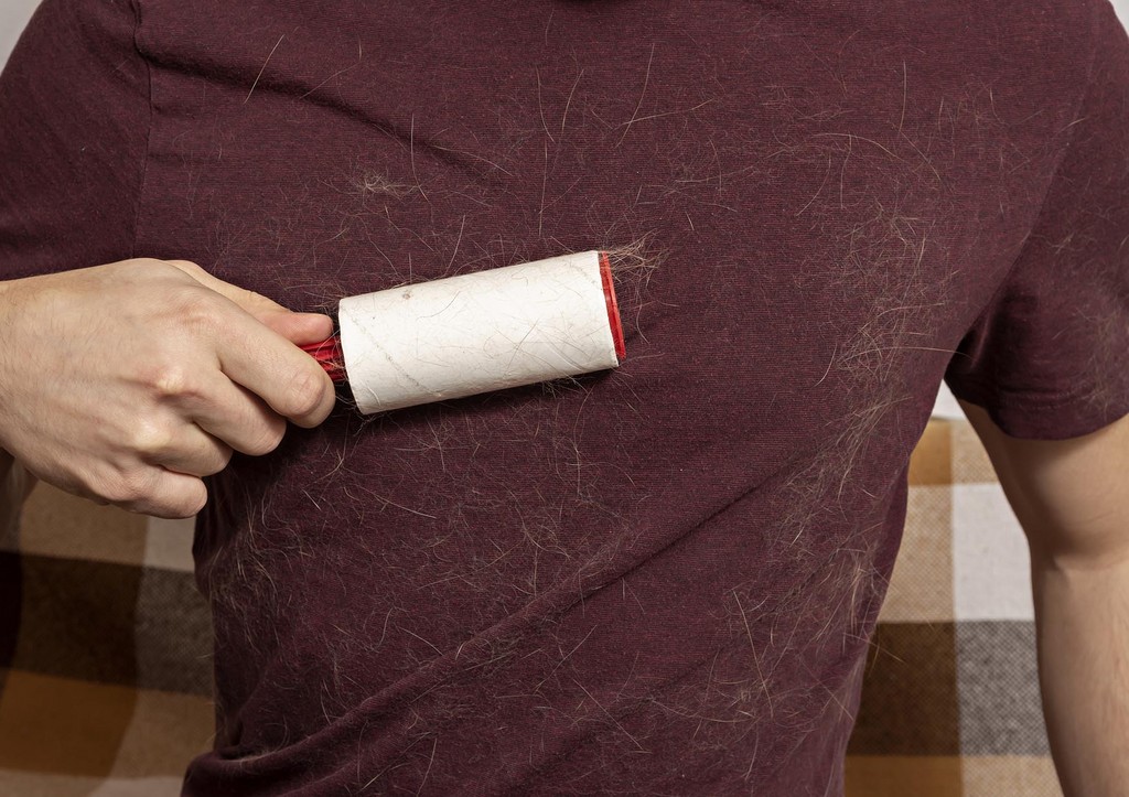 Чистая одежда без шерсти: лайфхак для владельцев питомцев