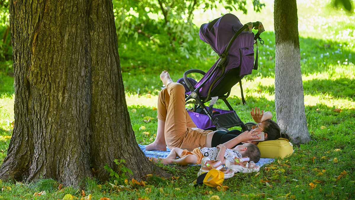 Теплая погода с температурой до плюс 27 градусов ожидается в Москве 20 апреля