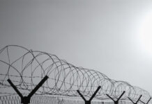 Суд Красноярска отказал Эрматову в переводе в колонии Татарстана и Уфы sud krasnoyarska otkazal ermatovu v perevode v kolonii tatarstana i ufy-obzone-su-174542560800-0