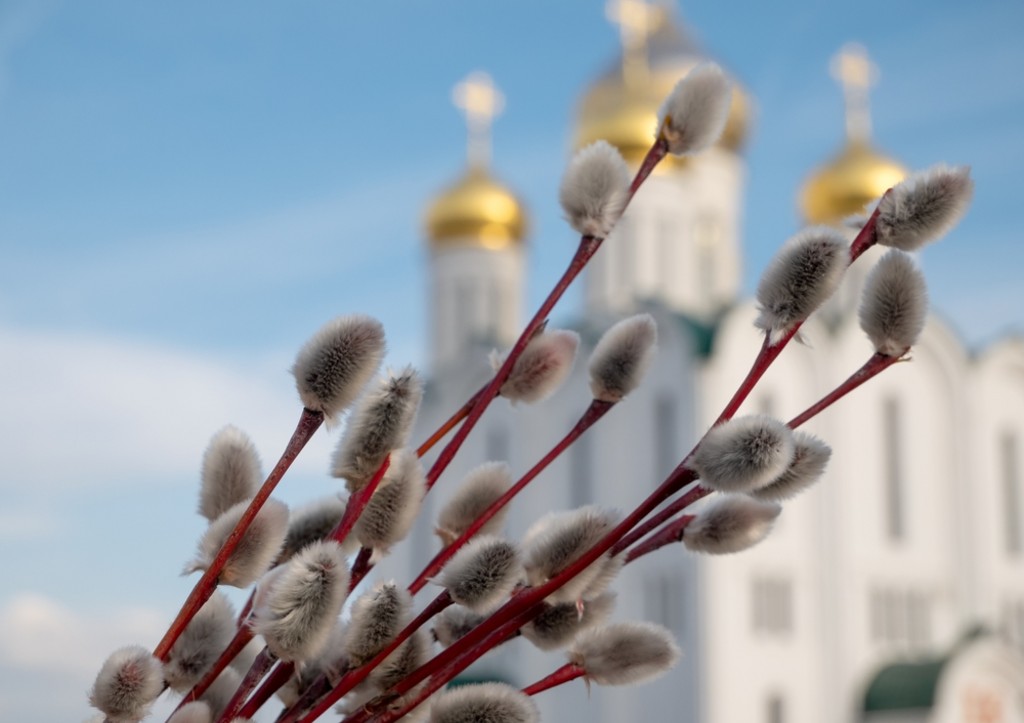 Самый страшный грех в Вербное воскресенье: лучше будьте паиньками
