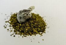 УМВД России по Приморскому краю пресекло незаконный оборот наркотиков в Пожарском районе umvd rossii po primorskomu krayu preseklo nezakonnyj oborot narkotikov v pozharskom rajone-obzone-su-174596303300-0