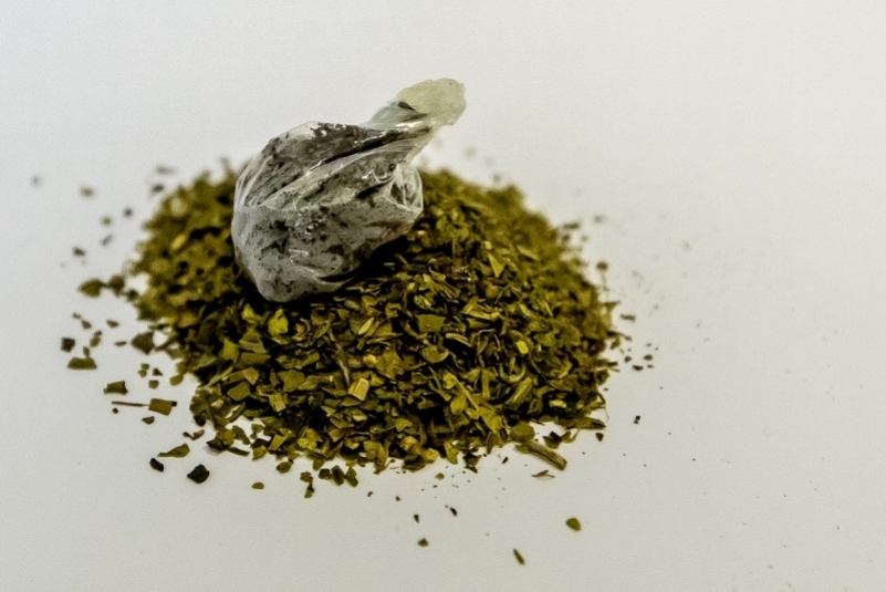 Фото: primamedia.ru