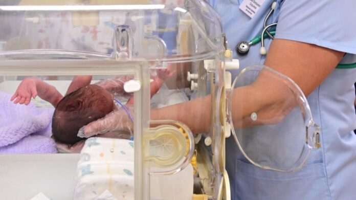 Успешное выхаживание тройни в Областном перинатальном центре при поддержке ОДКБ-0