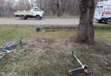 В Лесозаводске юный самокатчик избежал тяжёлых травм в ДТП с Toyota Lite Ace v lesozavodske yunyj samokatchik izbezhal tyazhyolyh travm v dtp s -obzone-su-174559061900-0