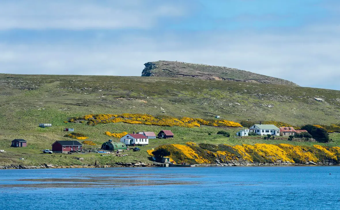 Фолклендские острова (G&M Therin-Weise / IMAGO / Global Look Press)